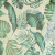 Plantas